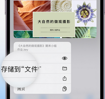 枝江apple维修中心分享iPhone文件应用中存储和找到下载文件