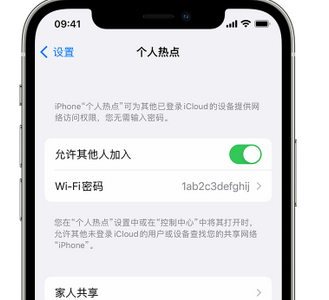 枝江apple服务站点分享iPhone上个人热点丢失了怎么办 