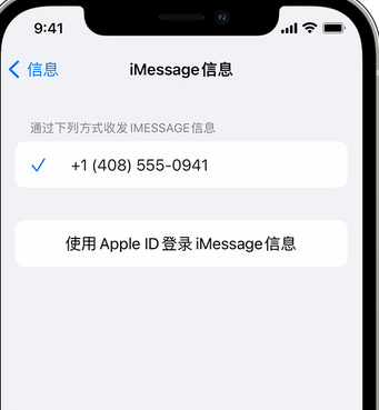 枝江apple维修iPhone上无法正常发送iMessage信息