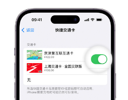 枝江apple维修点分享iPhone上更换Apple Pay快捷交通卡手绘卡面 