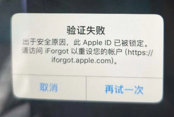 枝江iPhone维修分享iPhone上正常登录或使用AppleID怎么办 