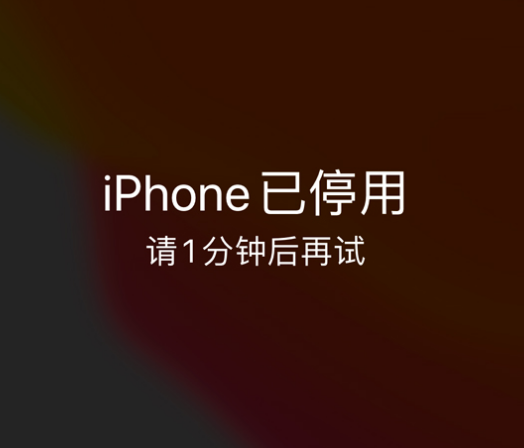 枝江苹果手机维修分享:iPhone 显示“不可用”或“已停用”怎么办？还能保留数据吗？ 