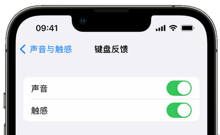 枝江苹果手机维修分享iPhone 14触感键盘使用方法 