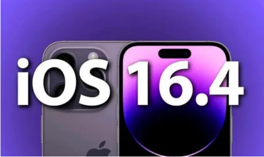 枝江苹果14维修分享：iPhone14可以升级iOS16.4beta2吗？ 