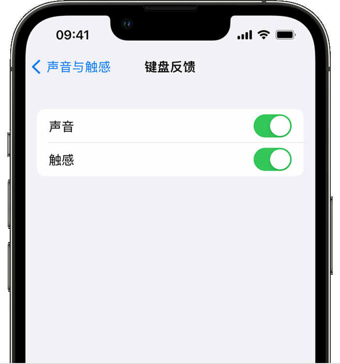 枝江苹果14维修店分享如何在 iPhone 14 机型中使用触感键盘 