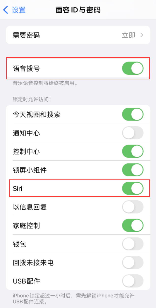 枝江苹果维修网点分享不解锁 iPhone 的情况下通过 Siri 拨打电话的方法 