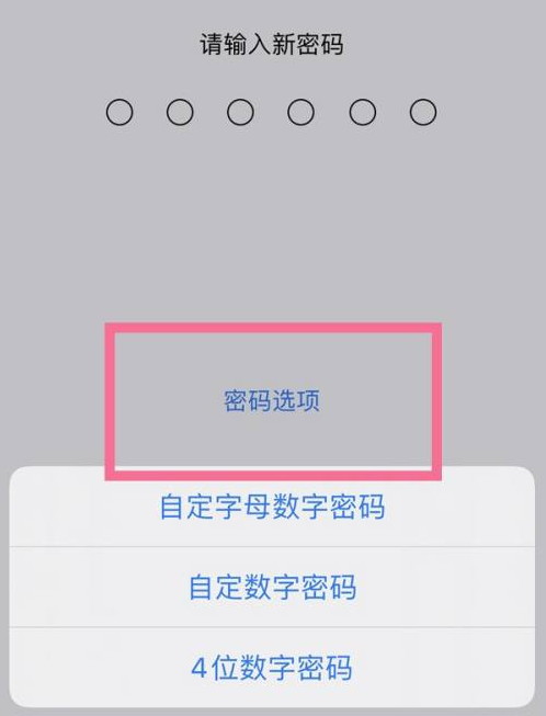 枝江苹果14维修分享iPhone 14plus设置密码的方法 