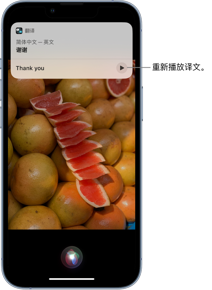 枝江苹果14维修分享 iPhone 14 机型中使用 Siri：了解 Siri 能帮你做什么 