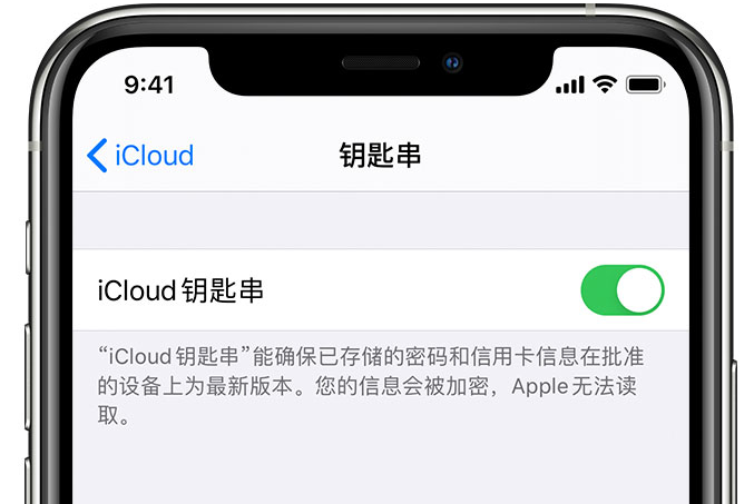 枝江苹果手机维修分享在 iPhone 上开启 iCloud 钥匙串之后会储存哪些信息 