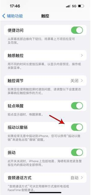 枝江苹果手机维修分享iPhone手机如何设置摇一摇删除文字 