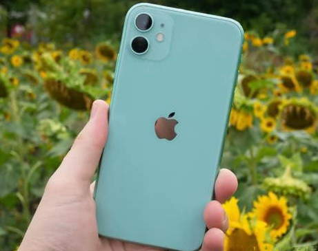 枝江苹果维修点分享iPhone 11锁屏密码认知与使用科普 